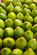 fichi