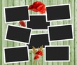 cadres coquelicots