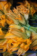 fiori di zucca