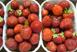 fragole