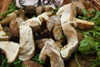 funghi