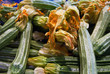 fiori di zucca