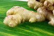 rhizome de gingembre rhizome de gingembre