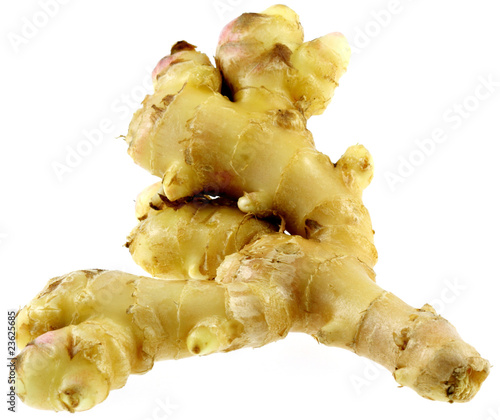 Photo: gingembre, fond blanc gingembre, fond blanc