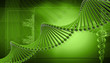 Illustration: DNA DNA