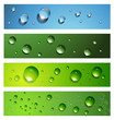 Banners, headers