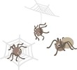A set of different spiders