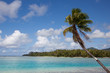 Foto: Pacifik beach, Moorea, French Polynesia Pacifik beach, Moorea, French Polynesia