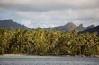 Foto: Palm beach in the South Pazifik, Huahine, French Polynesia Palm beach in the South Pazifik, Huahine, French Polynesia