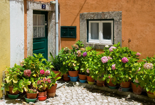 Photo: Small patio in Portugal with fowers in flowerpots Small patio in Portugal with fowers in flowerpots