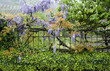 Gartenzaun Gartenzaun