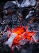 Grillkohle