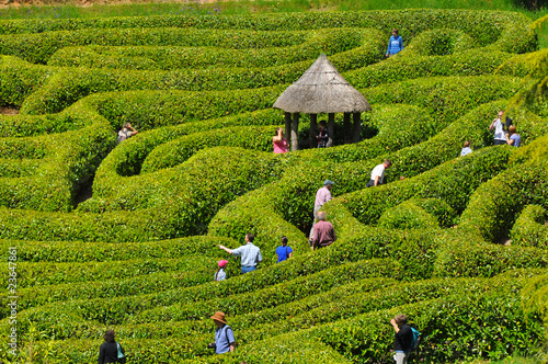 Foto: labyrinth labyrinth