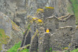 Foto: Tintagel Tintagel