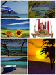 Foto: vacances ! vacances !