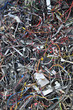 Photo: dump yard dump yard