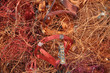 Photo: dump yard dump yard