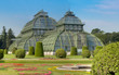 Palmenhaus  Schloss Schönbrunn