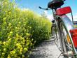 Fahrrad