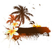 Summer tropical background