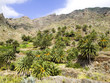 bosque bosque