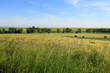 agricultural landscape and cloudy blue sky