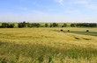 agricultural landscape and cloudy blue sky