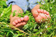 child's feet child's feet
