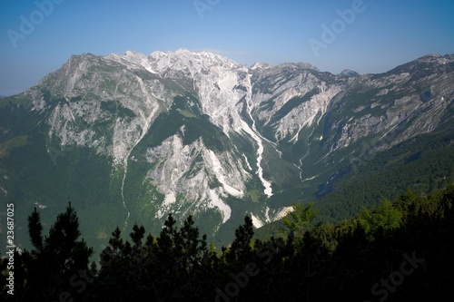 Photo: Alpine landscape with green grass Alpine landscape with green grass