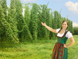 Hopfenkönigin