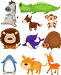 wild animals set