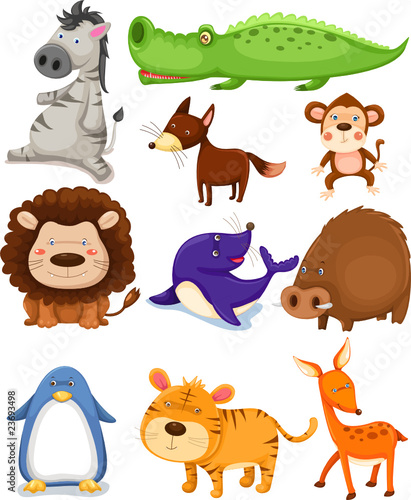 Wild Animals Set