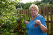 Woman with crop of red currant in garden Woman with crop of red currant in garden