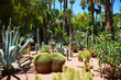 tropical garden