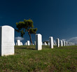 Military Cemetery
