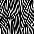 Zebra Texture Vector