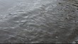 bord de mer