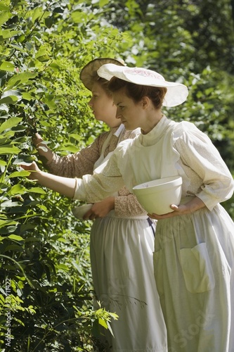 Photo: Picking Berries Picking Berries