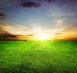Green Field and Beautiful Sunset Green Field and Beautiful Sunset