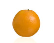 Orange fruit on reflective surface with a white background.