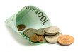 horn from euro with  coins