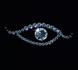 eye
