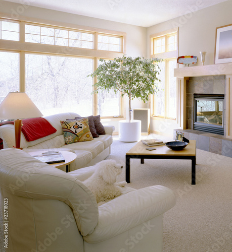 Photo: Contemporary Living Room Contemporary Living Room