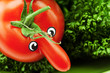 tomato with a nose and green tomato with a nose and green