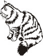 contour image of striped cat