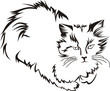 Outline image of sitting cat