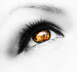 Photo: fire eye fire eye