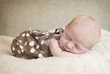 Sleeping Newborn Baby