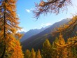 Forêt de mélèzes en automne