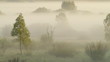 panorama foggy morning